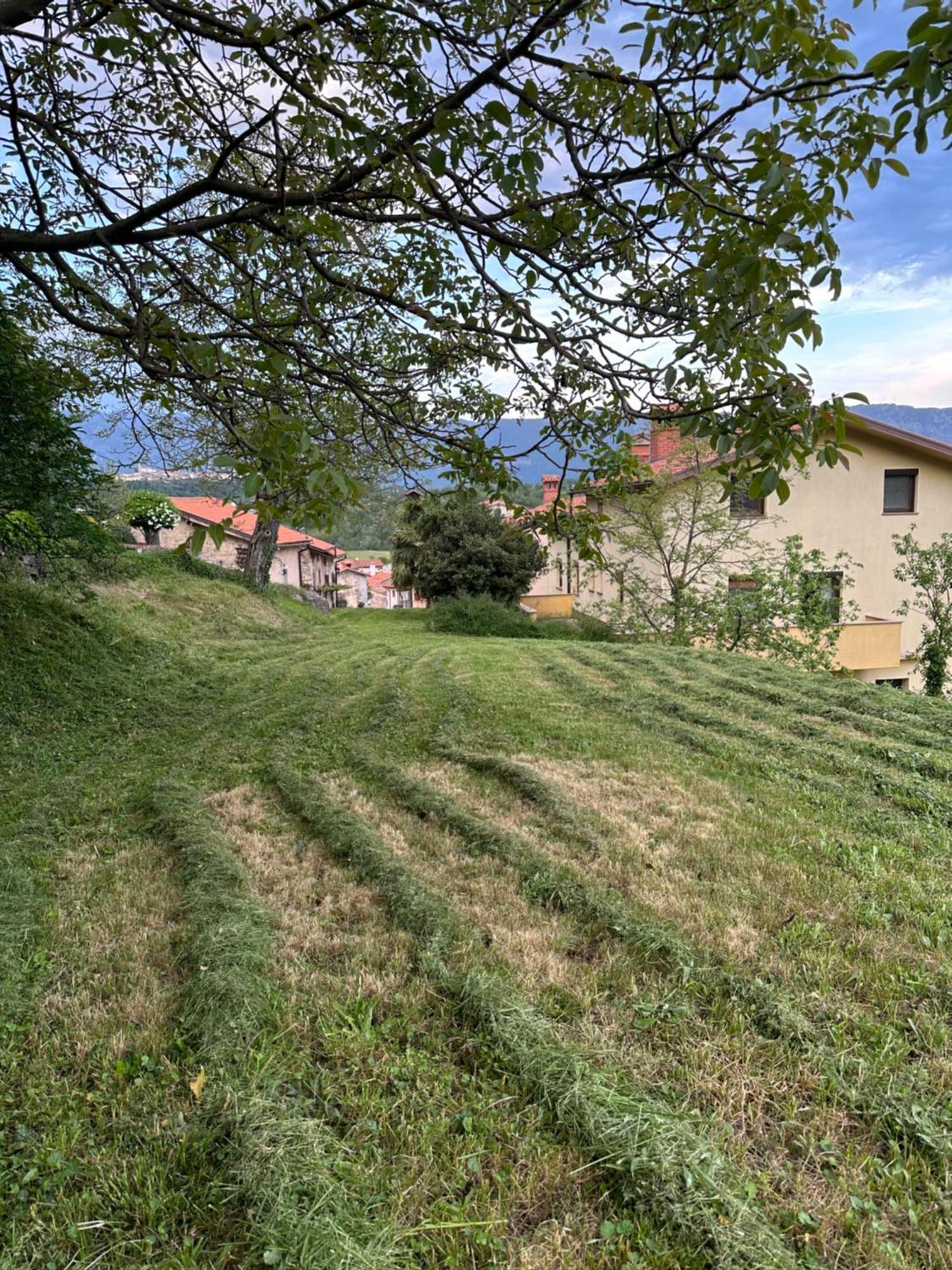 Apartma Anze Samec Dobravlje Exterior foto