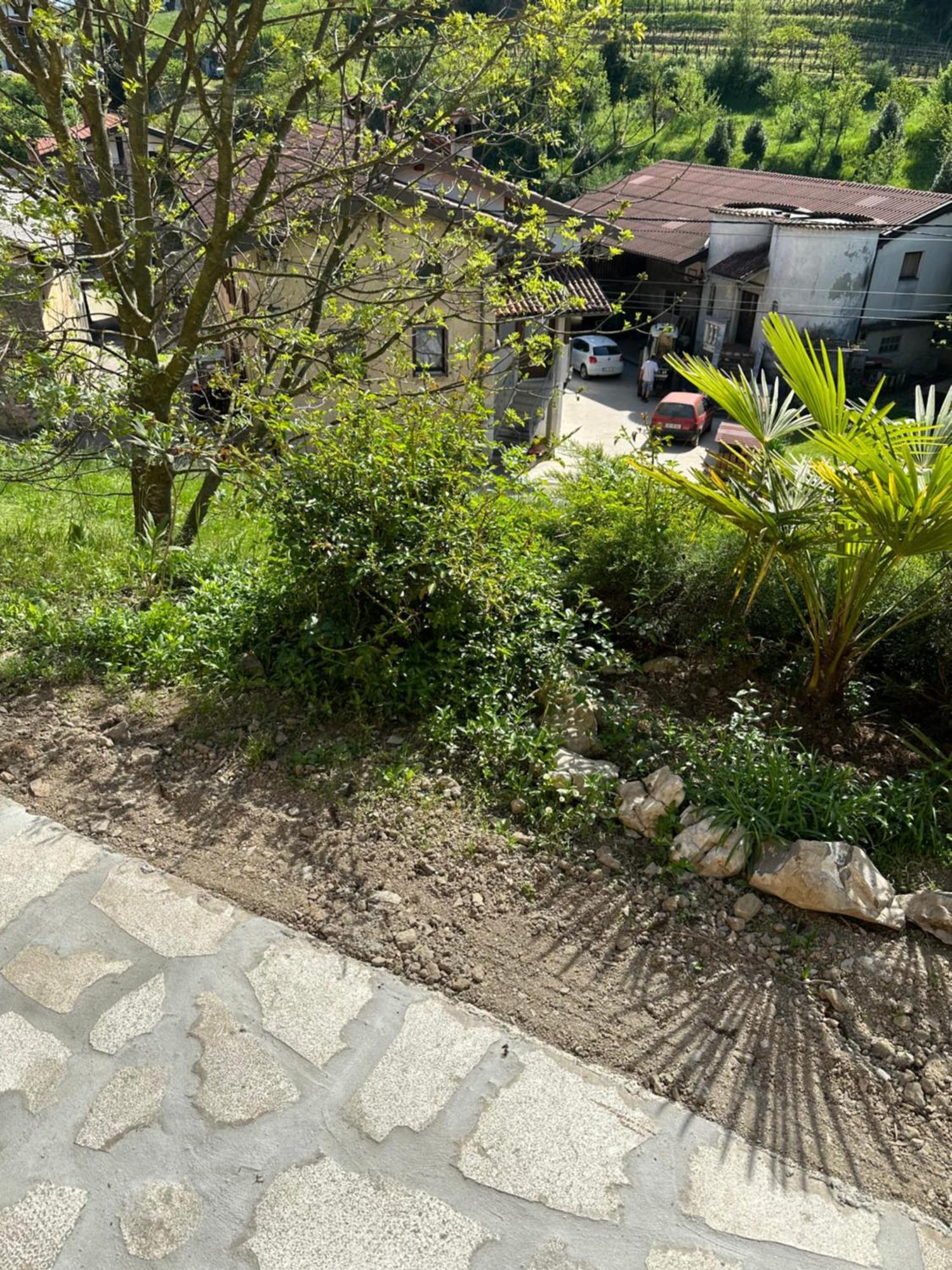 Apartma Anze Samec Dobravlje Exterior foto